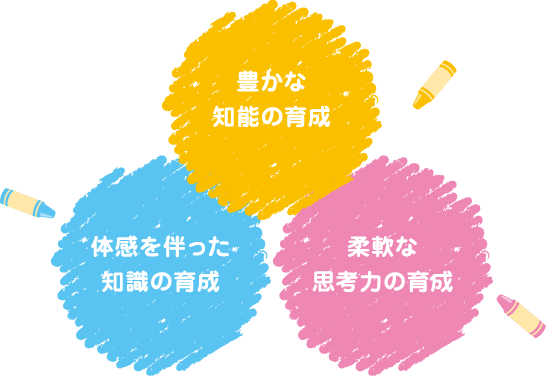 豊かな知識の育成 体験を伴った知識の育成 柔軟な思考力の育成